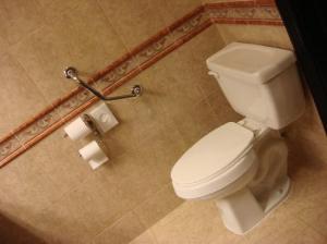 Toilet After Grab Bar Was Installed