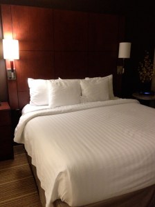 Accessible Bedroom - Very Comfortable Bed