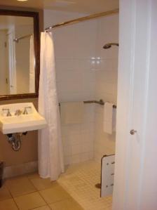 Wheel-Under Sink and Wheel-In Shower in Bathroom