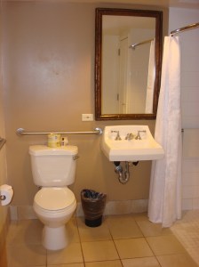 Toilet with Grab Bars