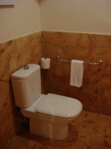 Very Low Toilet with Grab Bar