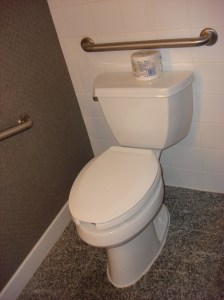 Toilet With Two Grab Bars