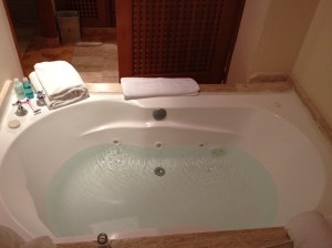 Jacuzzi Tub Inside Room