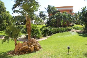 View From Our Main Floor Balcony