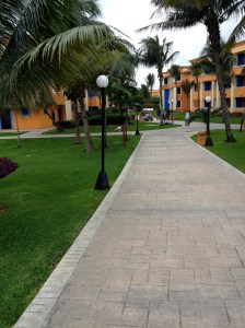 Cobblestone Pathways