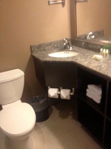 Sink and Toilet in Regular Room