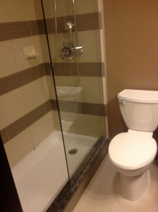 Shower and Toilet in Regular Room