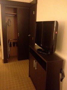 TV and Closet in Regular Room