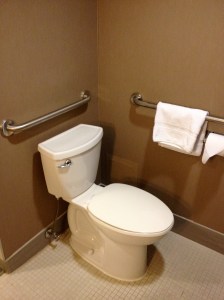 Toilet With Grab Bars 