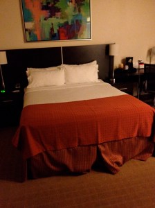 Queen-Sized Bed in Wheelchair Accessible Room