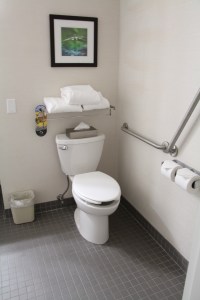 Toilet With Grab Bars