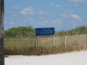 Wheelchair Beach Access in Southbeach, Miami