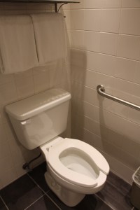 Toilet With Grab Bar