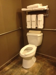 Toilet With Grab Bars