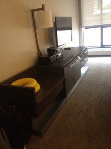 Room Had a TV, Mini-Fridge, Iron, Ironing Board and In-Room Safe