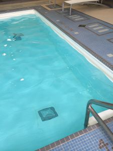 Here's a Closer Look - Note the Grime Along the Waterline