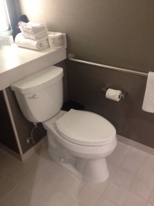 Toilet With Grab Bar