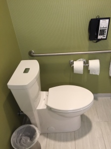 Toilet With Grab Bar and Phone