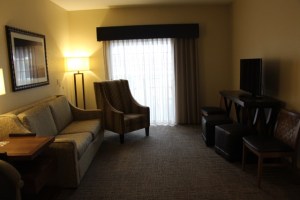 Pull-Out Sofa and Living Room Area