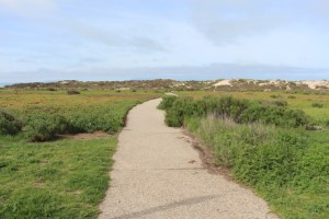 Accessible Pathway Heading Towards Ocean